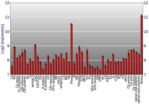 Expression graph