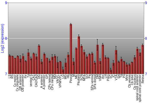 Expression graph