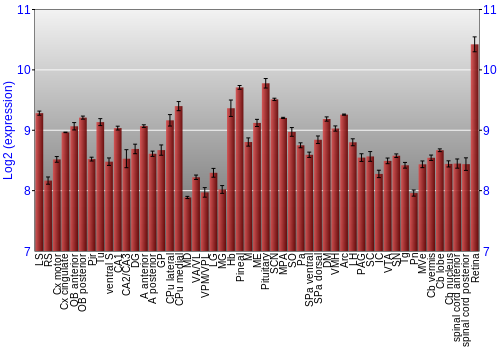 Expression graph