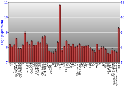 Expression graph