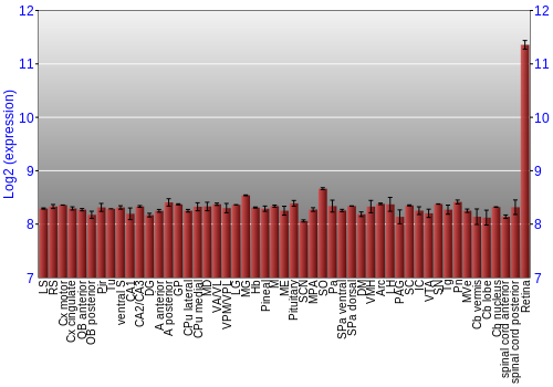 Expression graph