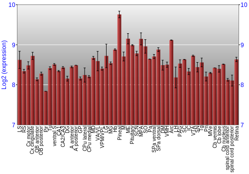 Expression graph