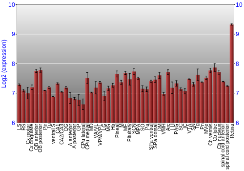 Expression graph