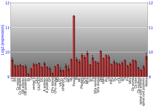 Expression graph