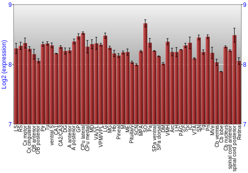 Expression graph