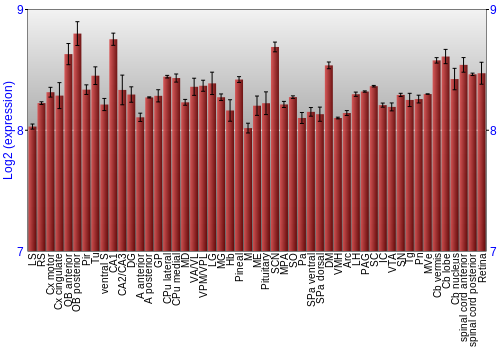 Expression graph