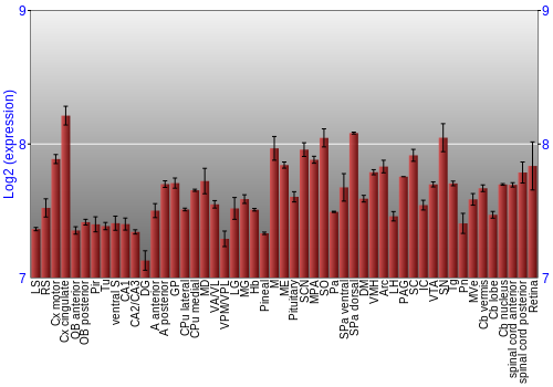 Expression graph