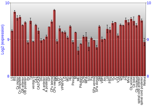 Expression graph