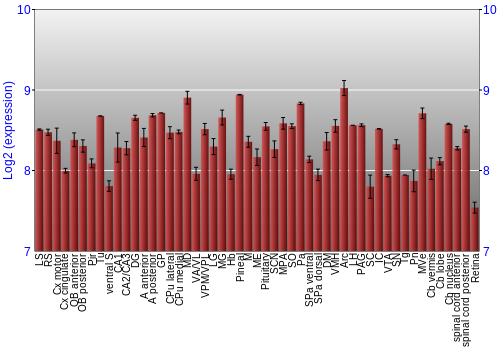 Expression graph