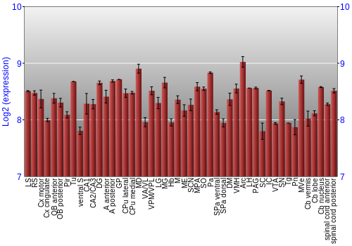 Multi-state expression graph