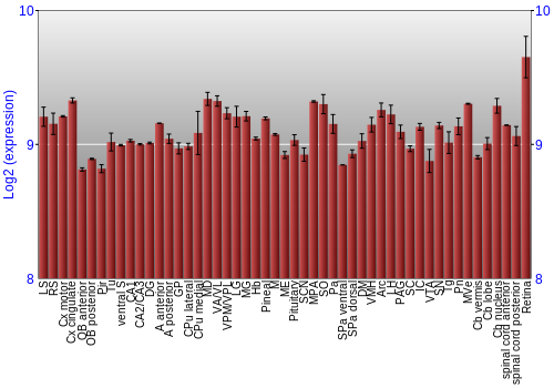 Expression graph