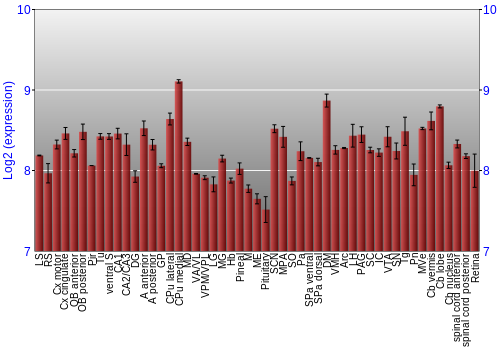 Expression graph