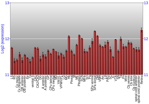 Expression graph