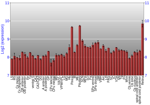 Expression graph