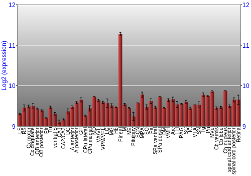 Expression graph