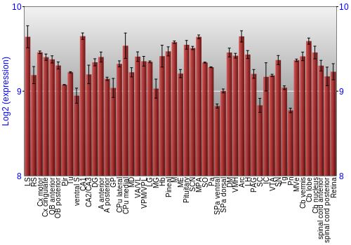 Expression graph