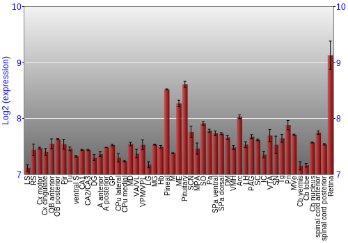 Expression graph