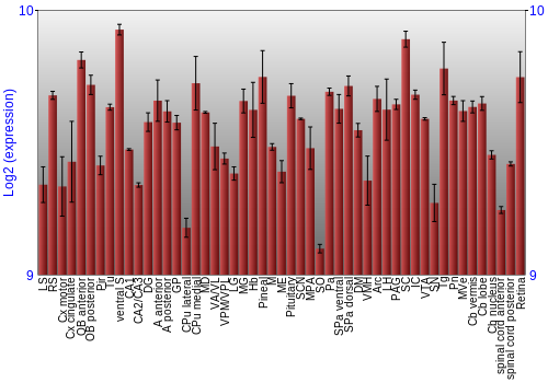 Expression graph