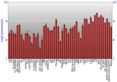 Expression graph