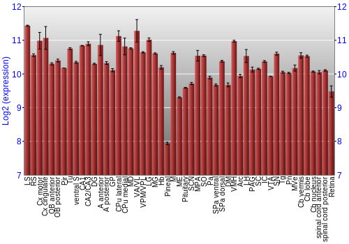 Expression graph