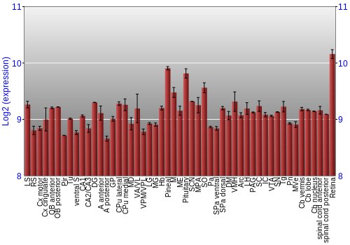 Expression graph