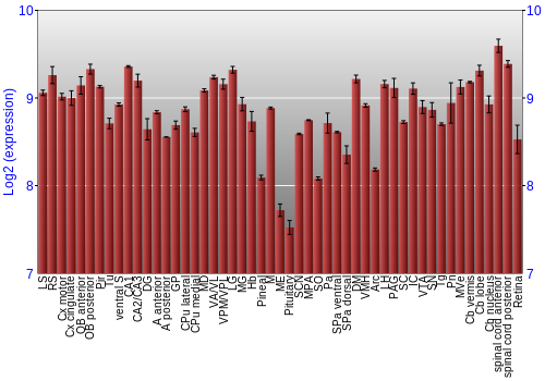 Expression graph