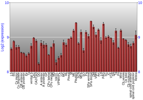 Expression graph