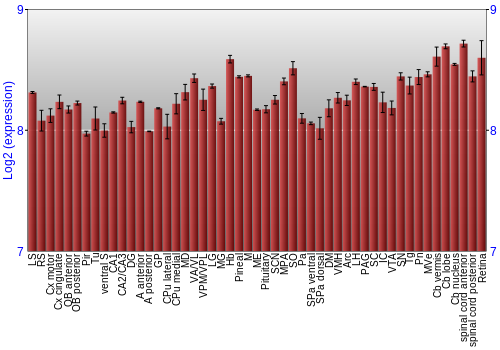 Expression graph
