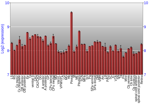 Expression graph
