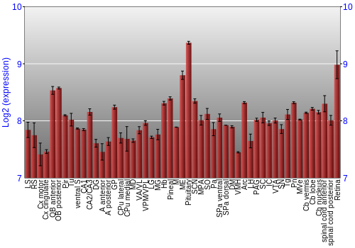 Expression graph
