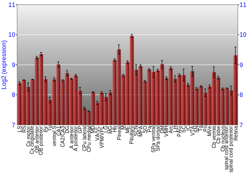 Expression graph