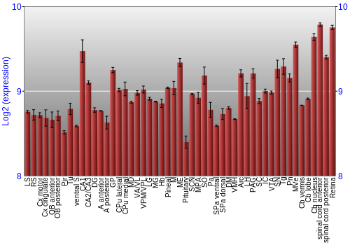 Expression graph
