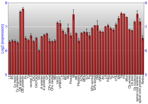 Expression graph