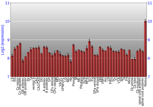 Expression graph