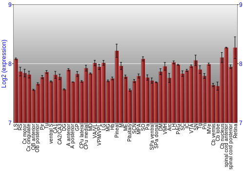 Expression graph