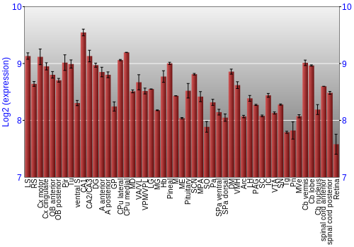 Expression graph