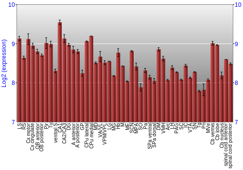 Multi-state expression graph