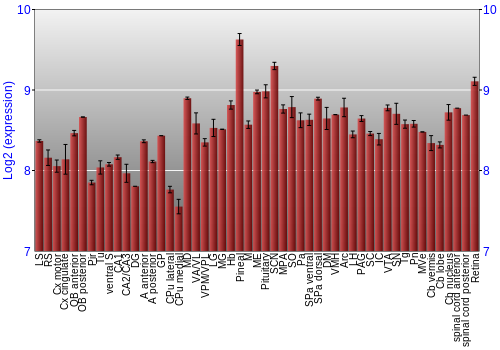 Expression graph