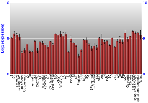 Expression graph