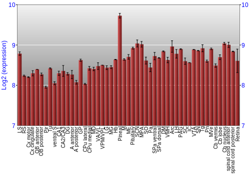 Expression graph
