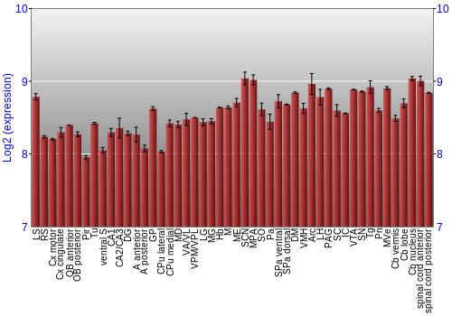 Multi-state expression graph