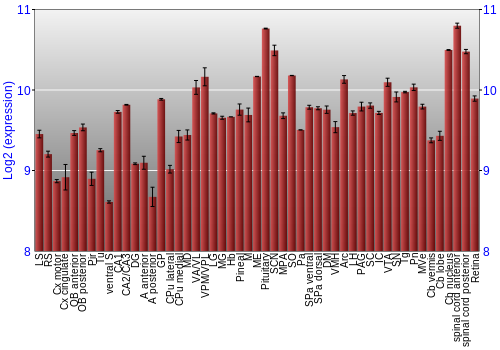 Expression graph