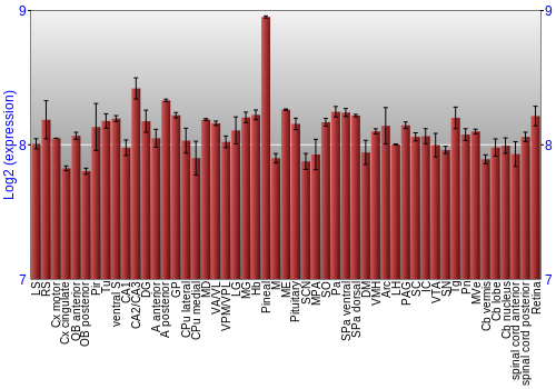 Expression graph