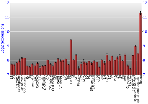Expression graph