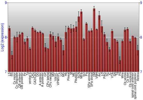 Expression graph