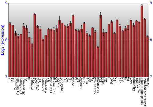 Expression graph