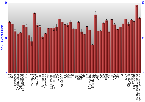 Multi-state expression graph
