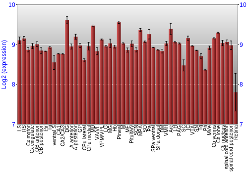 Expression graph