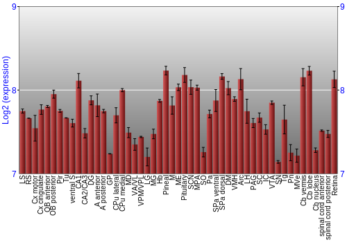 Expression graph