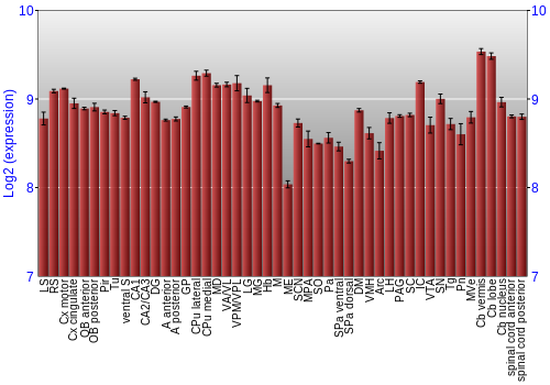 Multi-state expression graph